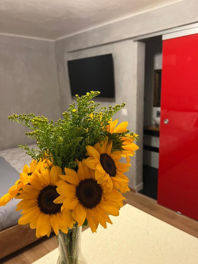 Cozy Tiny Apartment In The Heart Of Plaka Athens Luaran gambar